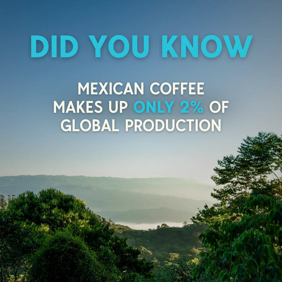 Mexican Dark Roast